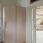 Modern On Rock At *