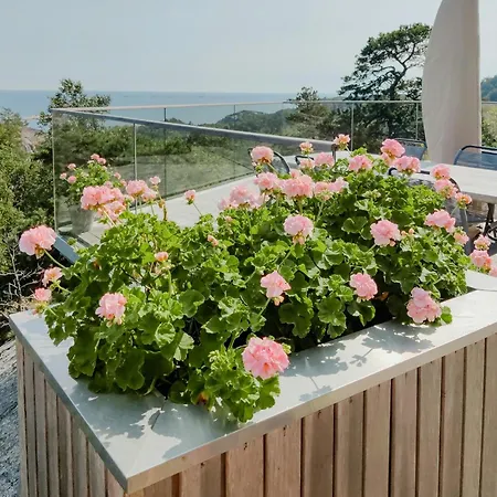Modern On Rock At Σπίτι διακοπών *